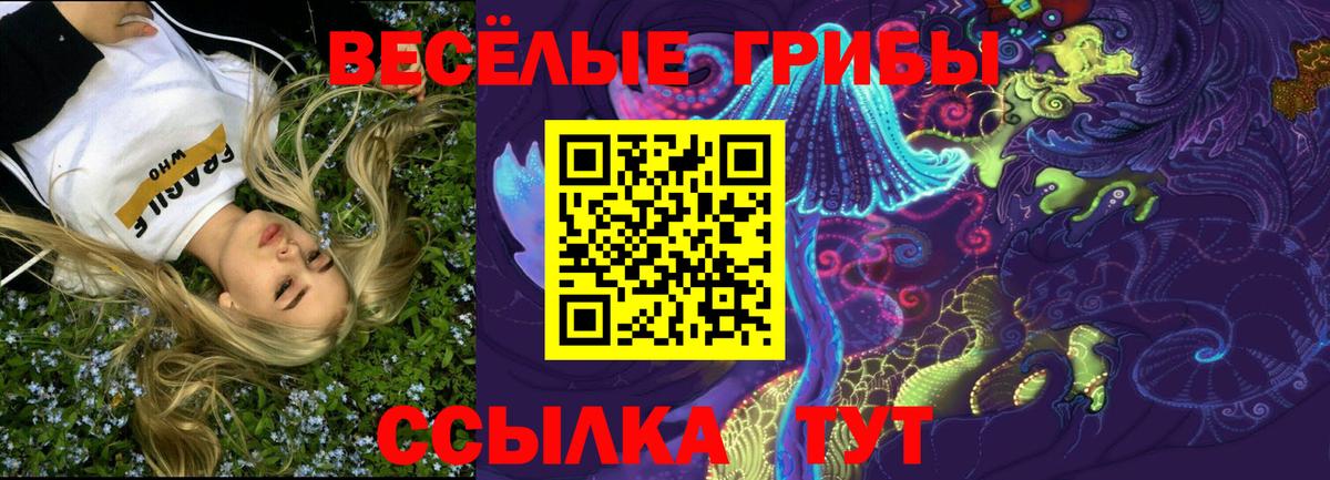 Псилоцибиновые грибы мицелий Чебоксары
